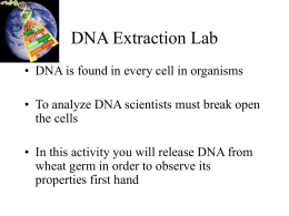 DNA Extraction Lab - Oklahoma City Community College