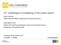 Challenges of budgeting in the public sector