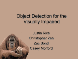 Object Detection for the Visually Impaired