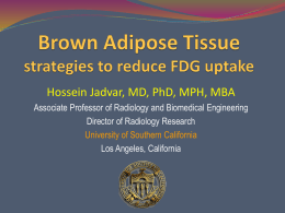 Brown Adipose Tissue strategies to reduce FDG uptake