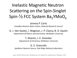 Inelastic Magnetic Neutron Scattering on the Spin