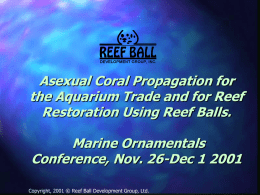 REEF BALLS: Designing A Reef To Achieve Specific Goals