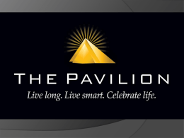 Pavillion LLC