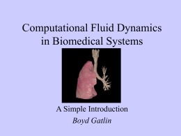 Computational Fluid Dynamics in Biological Systems