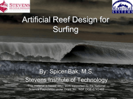 Artificial Reef Design for Surfing