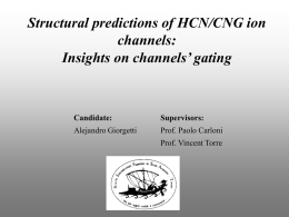 Structural models of HCN/CNG ion channels