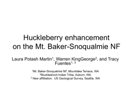 Huckleberry enhancement on the Mt. Baker