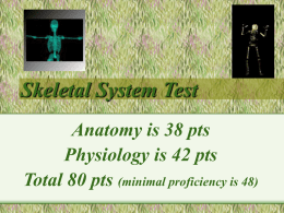 Skeletal Physiology Test