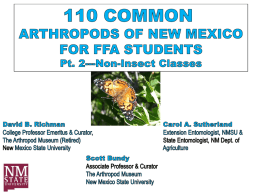 Arthropods- Non-Insects - New Mexico State University