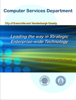 IT Annual Report 2008-2009