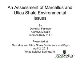 An Assessment of Marcellus Shale Environmental Issues in