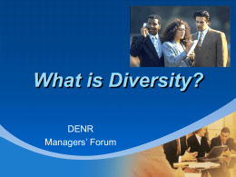 What is Diversity?