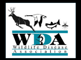 Wildlife Disease Association