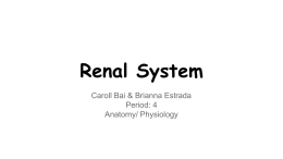 Renal System - Downey Unified School District
