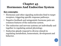 Chapter 45 Hormones And Endocrine System