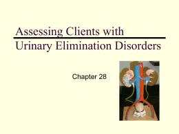 Assessing Clients with Urinary Elimination Disorders