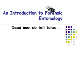Forensic Entomology - Bio-Guru