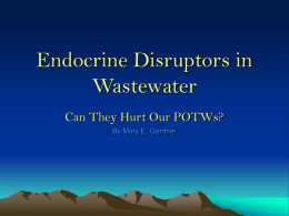Endocrin Disruptors in Wastewater