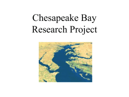 Chesapeake bay project - R K PUMA