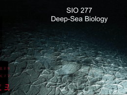 Historical perspective of deep-sea biology