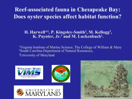Reef-associated fauna in Chesapeake Bay: Does oyster