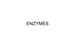ENZYMES - Weebly