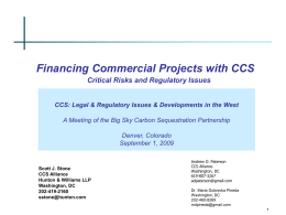 Financing Commercial Projects with CCS Critical Risks and