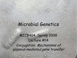 Microbial Genetics - University of Montana