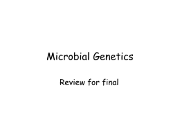 Microbial Genetics - University of Montana