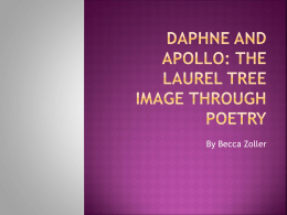 Daphne and apollo: the laurel tree image