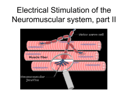 Electrical Stimulation of the Neuromuscular system