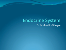 Endocrine System - Chiropractor Manhattan | Chiropractor