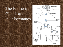 Hormones of the Body - Corner Brook Regional High