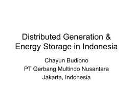 Distributed Generation & Energy Storage in Indonesia