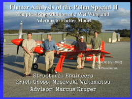 Flutter Analysis of the Polen Special II Emphasizing in
