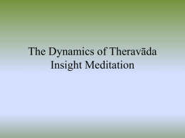 The Dynamics of Theravāda Insight Meditation