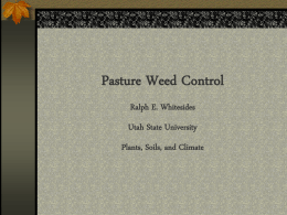 Pasture Weed Control - PowerPoint Presentation