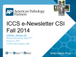 ICCS e-Newsletter CSI Winter 2014
