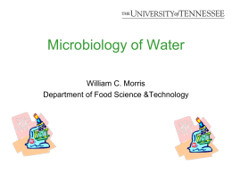 Microbiology of Water - The Southern Region Small Fruit