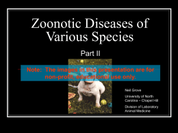 Zoonotic Diseases of Various Species