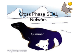 Cross Phase SEAL Network