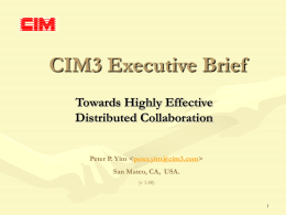 CIM3 Executive Brief (v1.88)
