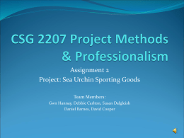 CSG 2207 Project Methods & Professionalism