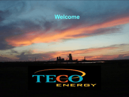 "TECO Energy" Report