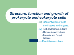 Structure, function and growth of prokaryote and eukaryote