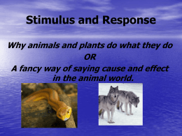Stimulus and Response - ESC-2