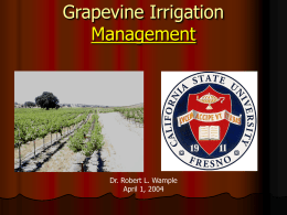 Irrigation Management for High Quality Wine Grape Production