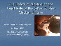 The Effects of Nicotine on the Heart Rate of the 5 Day In