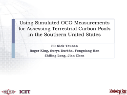 Using Simulated OCO Measurements for Assessing Terrestrial