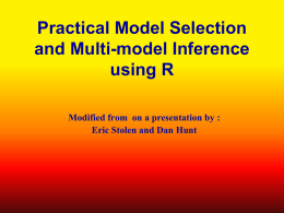 Model Selection and Multi